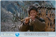 След панды / Trail of the Panda / Xiongmao hui jia lu (2009) DVDRip