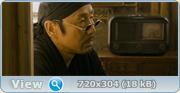 Охотник за сокровищами / Ci Ling (2009) DVDRip 700/1400