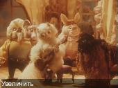Кошкин дом. Сборник мультфильмов (1958-1987) DVDRip