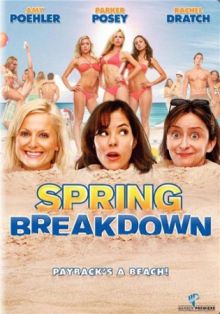 Весенний отрыв / Spring Breakdown (2009) DVDRip 700/1400