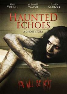 Отзвуки эха / Haunted Echoes (2008) DVDRip
