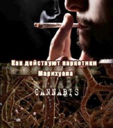 Как действуют наркотики. Марихуана / How Drugs Work. Cannabis (2011) TVRip