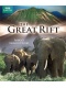Скачать фильм Великий рифт: Дикое сердце Африки (2010) HDRip / 1.36 Gb