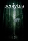 Служители / Acolytes (2008) DVDRip 700mb