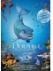 Дельфин: История мечтателя / The Dolphin: Story of a Dreamer (2009) DVDRip 700/1400