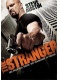 Незнакомец / The Stranger (2010) DVDRip 700/1400 /Проф. перевод/